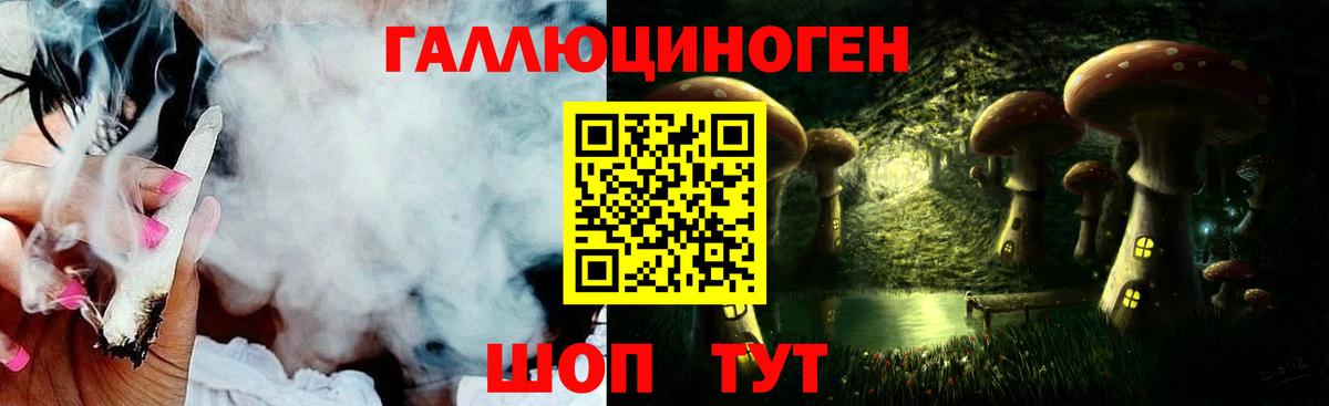 Галлюциногенные грибы Cubensis Сланцы